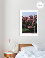 Load image into Gallery viewer, Crepe Myrtle

