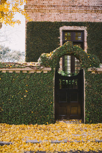 Gingko Gold