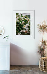 Load image into Gallery viewer, Raining Camellias
